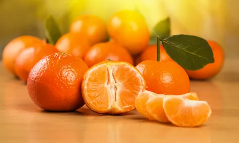 تصویر 1 از قیمت و خرید نارنگی درختی + فروش ارزان